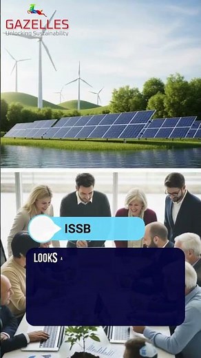 Sustainability Reporting Simplified: GRI vs ISSB vs CSRD #sustainabilityreporting