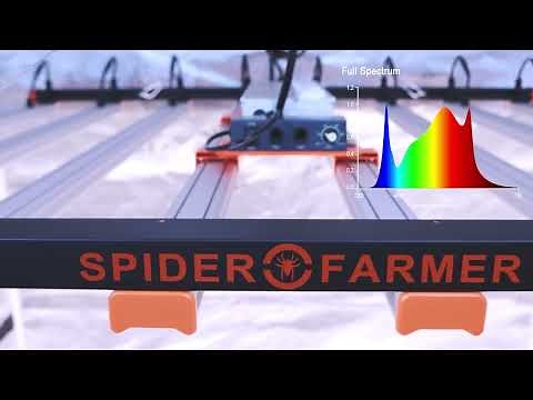High-end LED Grow Light for Commercial Cultivation & Home Growers - Spider Farmer SE7000