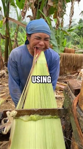 The Eco Tarzan (@pem12302)