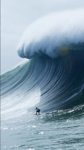 Surfing MASSIVE waves at Nazaré 🤯 #surf #bigwaves