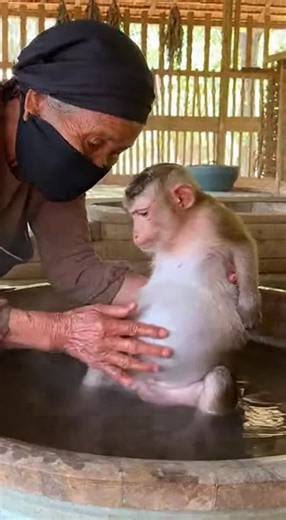 Natural Birth Process: A Supportive Experience