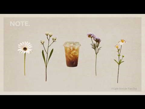 Calm Order | Chill House Mix – Music for Coding, Programming, Focus, Study and Deep Work