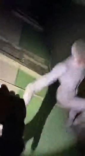 An urban explorer caught this last night. He says he still can't explain what that thing was.💀 #urbex #scary #creature | BaiaBaia