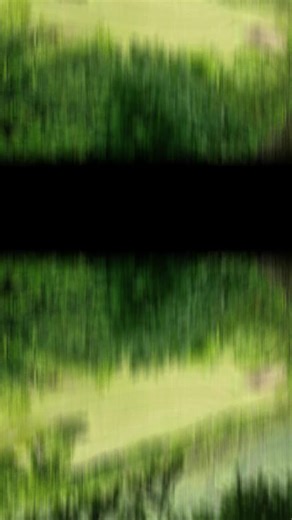 Bergbauer (@osttirolerbergbauer)’s videos with Bergbauern-Style - Florian Andreas