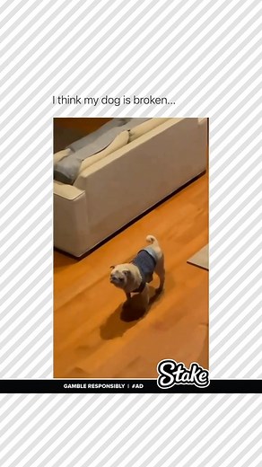 FOLLOW → @downloadingmeme ← There’s playful… and then there’s whatever this is. You call their name—no response. You clap—still nothing. And then they start moving like a bootleg animatronic with lag. I think my dog is broken. Either that, or they’re glitching through a patch update we didn’t authorize. • Logic: turned off • Vibes: deeply confusing • You: laughing while softly whispering “reboot him” You pause. You read. You stay longer than you meant to. #chaosfeed #wtfmoment #memeclips #cliplo