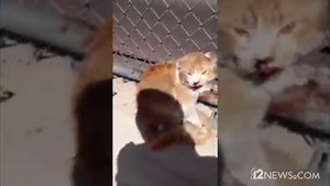 195K views · 5.8K reactions | He's being called a hero for stopping...