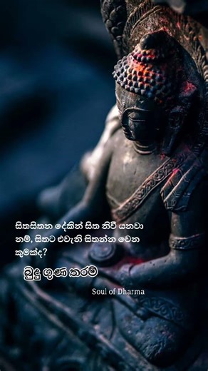 Buddha Quotes 🤍
