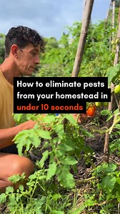 Here's how... In nature there is no such thing as pests. Everything has a role to play. Science shows, the insects we call “pests” have the job of recycling sick and stressed plants. They’re highly beneficial in keeping the ecosystem healthy, and making space for healthy plants. So how do you eliminate pests from your garden immediately and forever? Stop thinking of them as pests, and start thinking of them as beneficial indicators of ecosystem health. If your plants are full of pests - they are