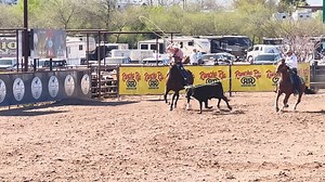 Get ready for an exciting lineup of top-notch horses from 𝗪𝗶𝗹𝘀𝗼𝗻 𝗖𝗮𝘁𝘁𝗹𝗲 𝗖𝗼., all paid in full to the Riata Buckle, featured at the Clovis Horse Sale on August 18-19, 2023. Don't miss the opportunity to own some of the industry's finest horses, each accompanied by X-rays for your peace of mind. For inquiries or to schedule a trial, call 940-268-6850. Additional pre-purchase vet checks are encouraged. For more photos, check out Wilson Cattle Co., and find the bidding info at https://