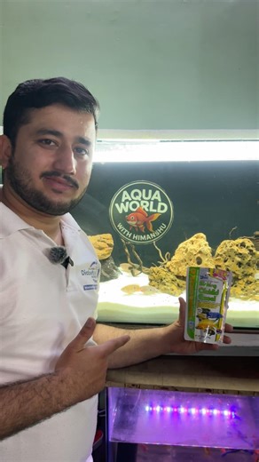 Hikari Sinking Cichlid Fish Pellet #fishfood #bloodworms #fishtank #shrimp #cichlid #shorts #vlog