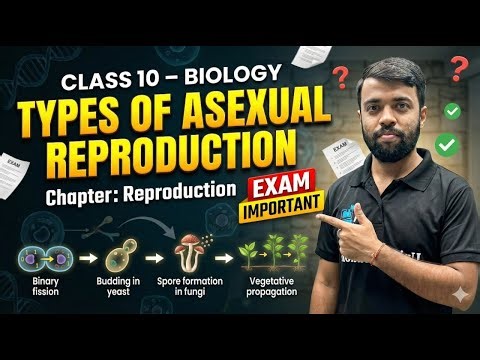 Class 10 Biology | Types of Asexual Reproduction | Chapter Reproduction | CBSE Board