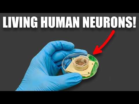 HUMAN BRAINS As Cloud Compute Service?!