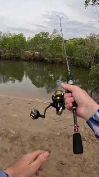 Snagged on the Second Cast at Sandfly Creek 🎣
