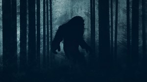 Howling recording of Bigfoot is like a 'siren' as expert shares evidence clues
