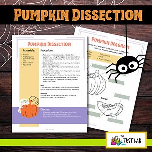 Spooky Science Pumpkin Dissection and Diagram Worksheet Lab Activity