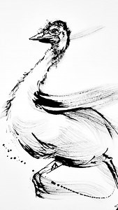 Crazy Emu by Kobble Bird Shelter, support our wildlife carers whenever you can ❤️ | Running Duck Studio