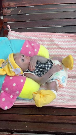 12K views · 536 reactions | So Cute Baby Tauch Sleep Watch Rain Drop In Yard #baby #monkey #Babymonkey | Monkey Harry's Family | Facebook