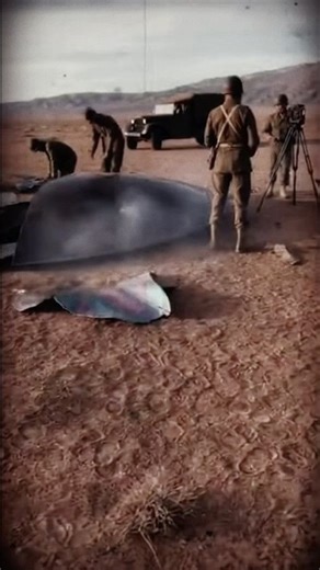 Crashed #ufo #aliens #space #scifi #scifishorts