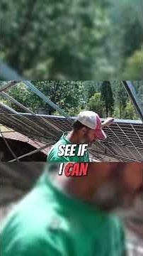 Yellow Jackets, foolproof solution #shorts