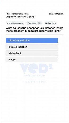 12th Home Management Fluorescent Tube Light Science