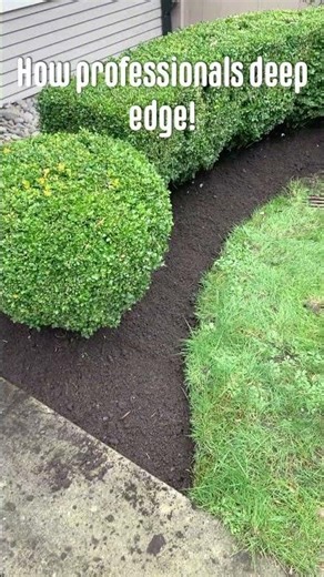 How pros deep edge beds! #redsealvas #landscaper #gardening #garden #lawn