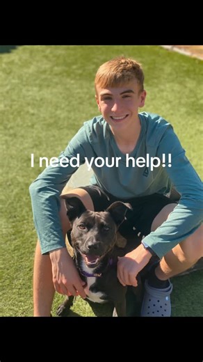 Project Freedom Ride on Instagram: "🚨 URGENT: Our adoptions have come to a standstill — and it’s because of ONE new step on Petfinder. 🚨 Petfinder recently added a filter that must be turned on to see out-of-town pets available for transport (like so many of ours). If adopters don’t select it, our dogs basically become invisible outside our local area — and transport adoptions are the lifeline of our program. ✅ Please take 30 seconds to check this + share it everywhere: How to find adoptable t