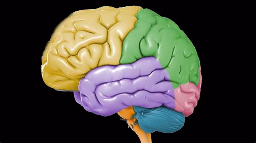 Interactive websites to explore your mind
