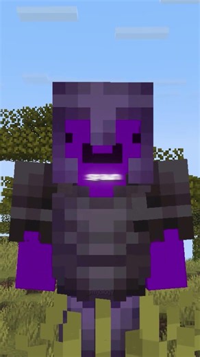 Why Did Wemmbu Deleted His Video? (Unstable SMP)