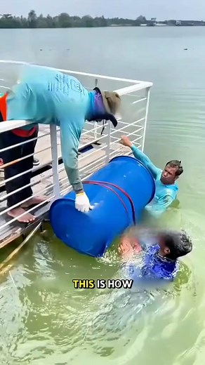 62K views · 37 reactions | Special Tool Use | Super Clips | Facebook