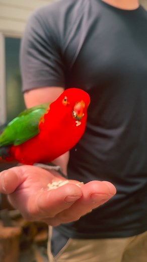 FREE BUSKING SET BOURKE ST MALL 12pm & 1pm All ages welcome! Come down and grab the album!! | Pierce Brothers