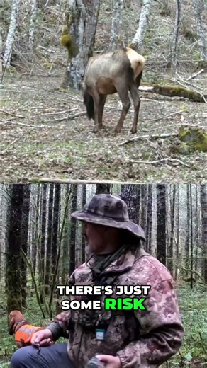 Camera Placement Secret: Capture More Wildlife! #shorts