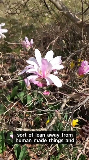Lean into Nature as Stability