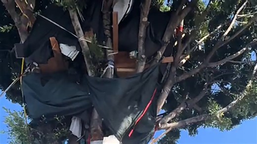Homeless Man's Viral Three-Story Treehouse in Los Angeles Is Torn Down—but He Vows a Comeback