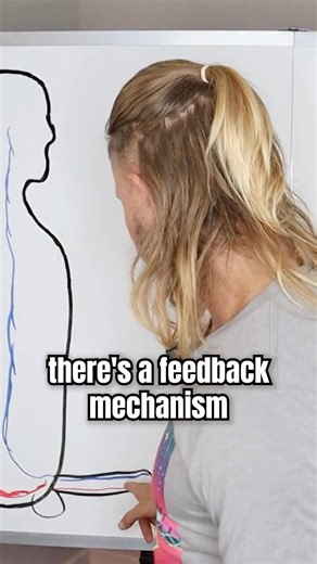 This Muscle Causes Premature Ejaculation