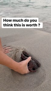 Crazy Beach find! This original video was produced by Patty C. | Tips, Tricks & Funny Clips