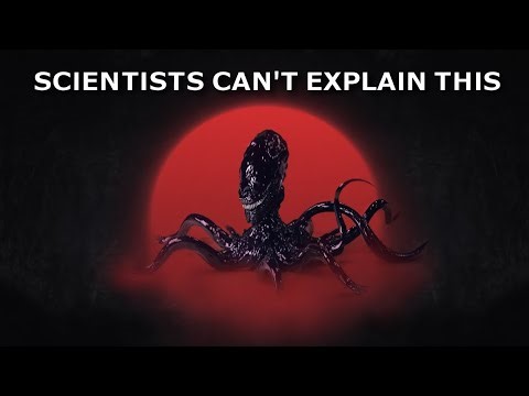 Man Gives Final Chilling Update On The Alien Entity He Found Inside A Crashed Meteorite In Panama