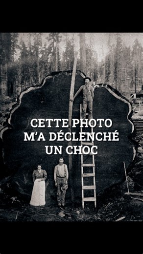 Partager c'est Sympa on Instagram: "Cette photo m'a choqué 🥺 Un morceau choisi du film "Le VIVANT qui se défend", dispo en intégralité sur ma chaîne YouTube !"