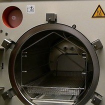 Video: Transplantation of Olfactory Ensheathing Cells to Evaluate Functional Recovery after Peripheral Nerve Injury