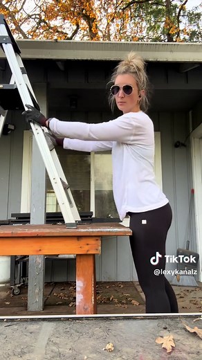 Why I Didn't Climb the Ladder: A Funny Take