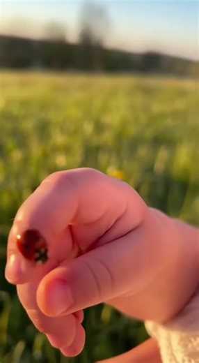 A baby discovers the magic of nature as a tiny ladybug explores their hand. They watch in quiet amazement before the insect takes flight, leaving them with a joyful grin. | Jarche