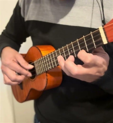 Vivaldi on Ukulele #ukulele #musicshorts #antoniovivaldi