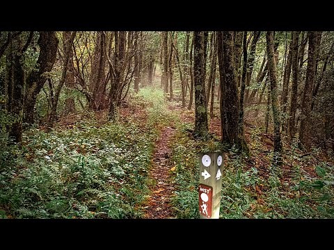 POV: You Thru Hike the Mountains-To-Sea Trail