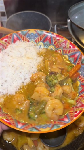 Easy Dinner Recipes with Ninja Crispy Cooker