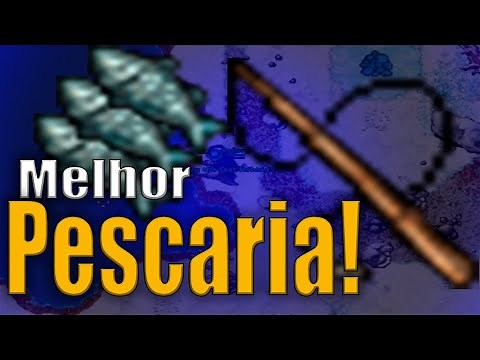 MELHOR Jeito de Treinar Fishing no Tibia!