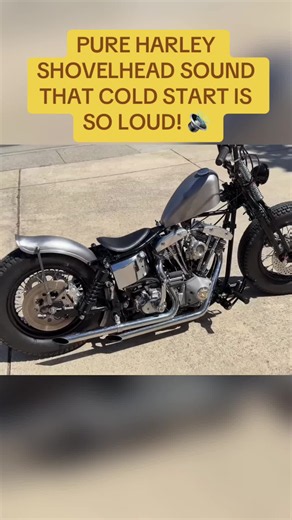 Harley Shovelhead Cold Start Sound — Pure V-Twin Loud Start