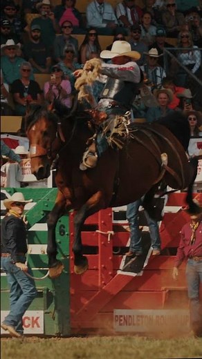 2024 Pendleton Saddle Bronc Champion Jake Finlay, 91 pts on The Black Tie