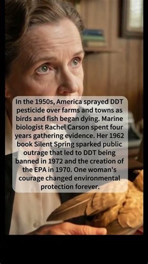 Rachel Carson Changed Environment#shorts