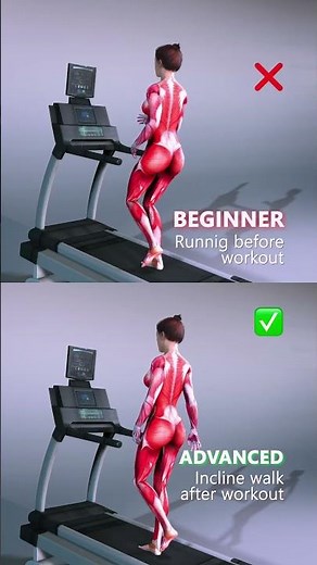 Cardio Before or After Weights? | Best Timing for Fat Loss & Performance