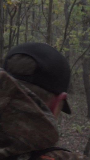 43K views · 600 reactions | This 6 point has big growth on his shoulder.... Bucks are on the move and responding to calls really well! Just need the right one to do it !! Primos Hunting | Thacha Gear | Ozonics Hunting | Small Town Hunting | Facebook