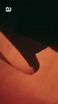 Inside Matisse’s revolution 🎨